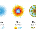 Understanding Your Body Type: Vata, Pitta & Kapha | Niramaya Ayurveda